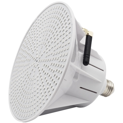ซื้อ ไฟ LED สระว่ายน้ำ AC / DC 12V / 24V IP68 online manufacture